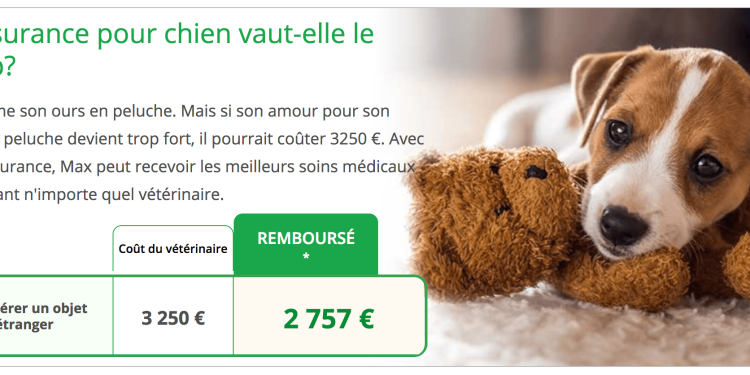 découvrez les meilleures mutuelles pour chien qui offrent une couverture adaptée aux besoins de votre compagnon à quatre pattes. protégez votre animal avec des options variées et des garanties fiables pour des soins de santé optimale.