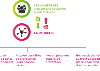 découvrez tout ce qu'il faut savoir sur les informations concernant les mutuelles en france. comparez les offres, comprenez les garanties et faites le meilleur choix pour votre santé et celle de vos proches.