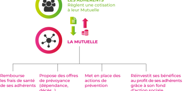 découvrez tout ce qu'il faut savoir sur les informations concernant les mutuelles en france. comparez les offres, comprenez les garanties et faites le meilleur choix pour votre santé et celle de vos proches.