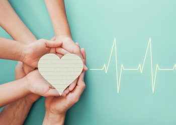 découvrez comment choisir la meilleure mutuelle en 2025 grâce à nos conseils pratiques et comparatifs. protégez votre santé tout en maîtrisant votre budget avec des options adaptées à vos besoins.