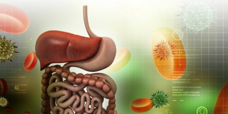 découvrez des conseils et stratégies efficaces pour la prévention des troubles digestifs et de la sarcopénie, afin de préserver votre santé et votre bien-être au quotidien.