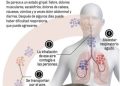 hantavirus : stéphanie rist engagée activement pour gérer la crise sanitaire et protéger la population.