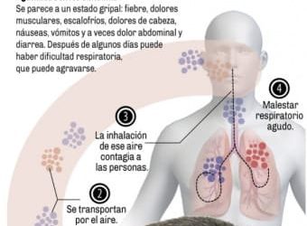 hantavirus : stéphanie rist engagée activement pour gérer la crise sanitaire et protéger la population.