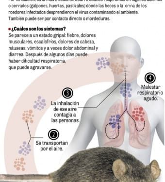 hantavirus : stéphanie rist engagée activement pour gérer la crise sanitaire et protéger la population.